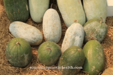 Wax gourd