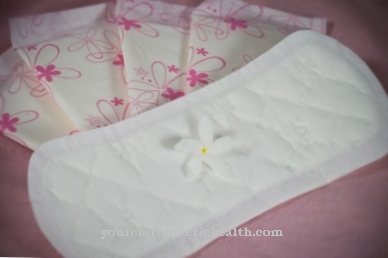 Sanitary napkin