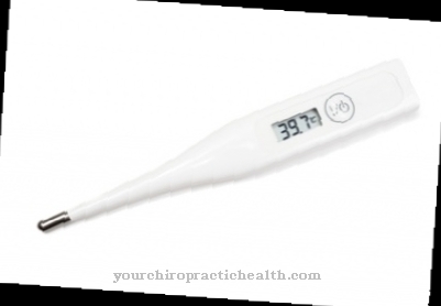 Clinical thermometer