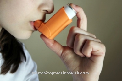 Inhalator