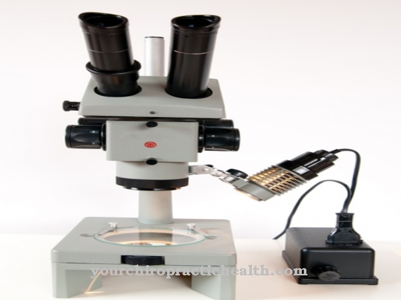 Stereo microscope