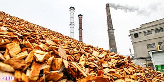 biomasė