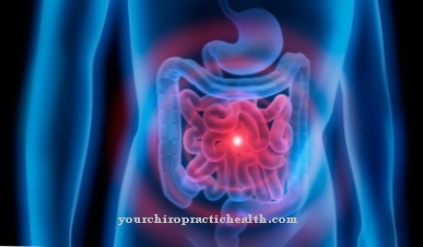 Diet and nutrition for gastrointestinal complaints