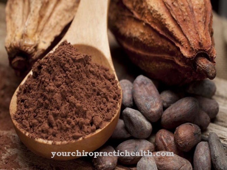 Kakao superfood: mengapa cokelat menurunkan risiko stroke