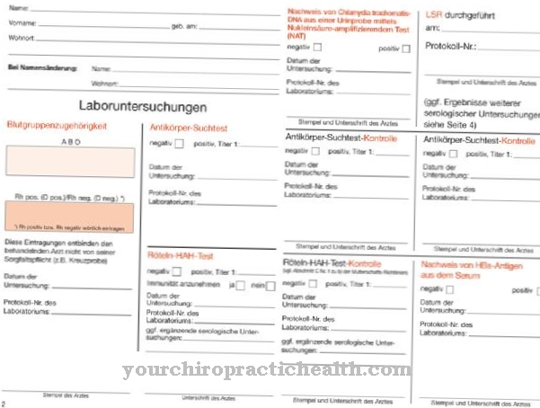 What's in the mother's passport