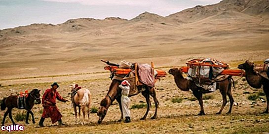 nomadski i sjedilački narodi