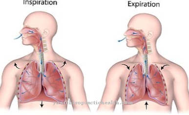 Respiratory paralysis