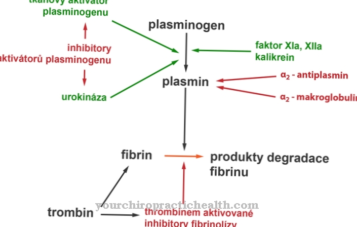 Antifibrinolitik