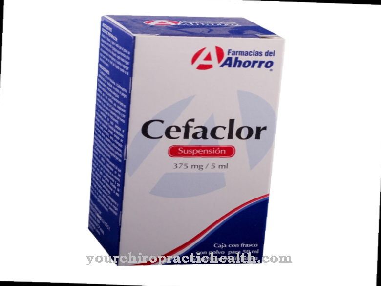 Cefaclor