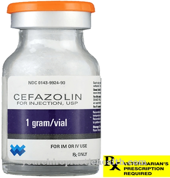 cefazolin