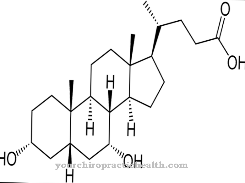 חומצה Chenodeoxycholic