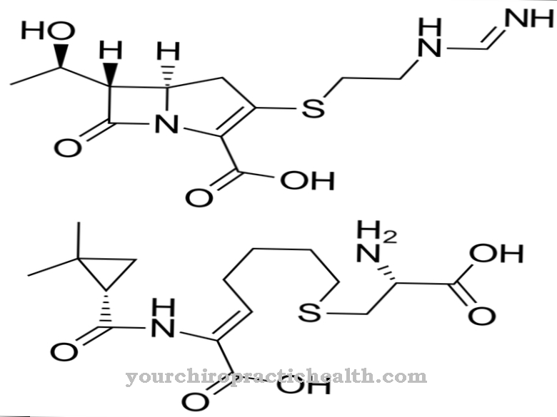 cilastatin