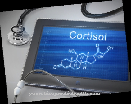 Cortisol