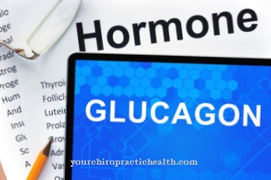 glucagon