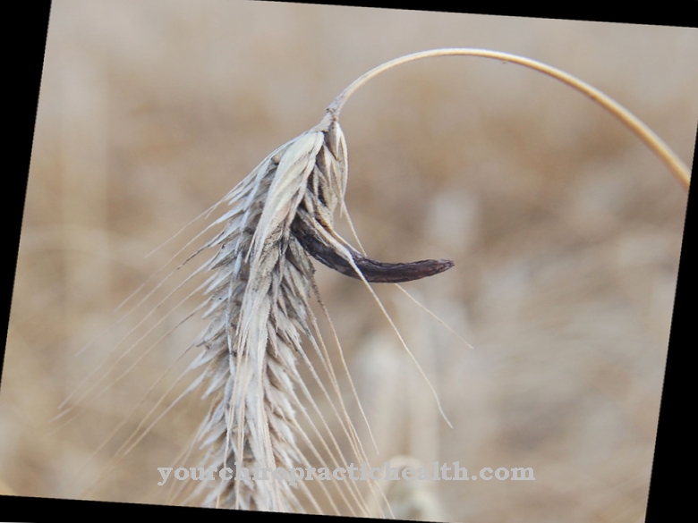 אלרגואידים של Ergot