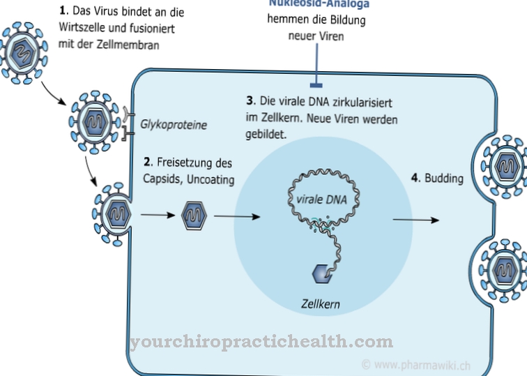 Các chất tương tự nucleoside