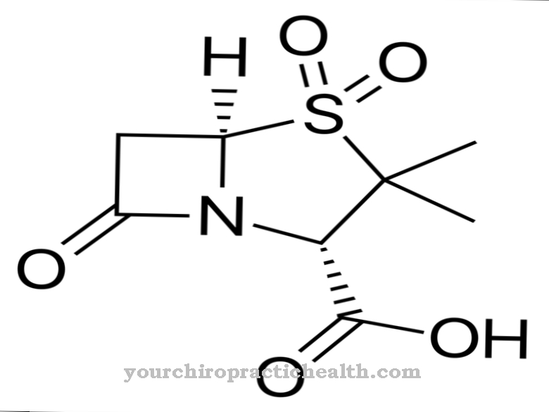 sulbactam