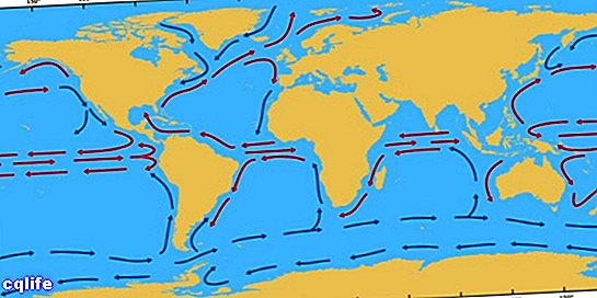 Теплые океанические течения способствуют выпадению